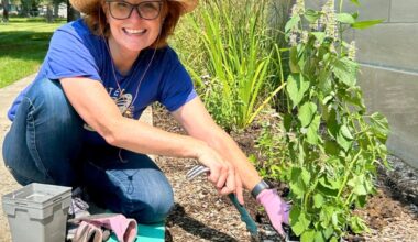Grassroots movement helps Rochester earn butterfly recognition – The Oakland Press