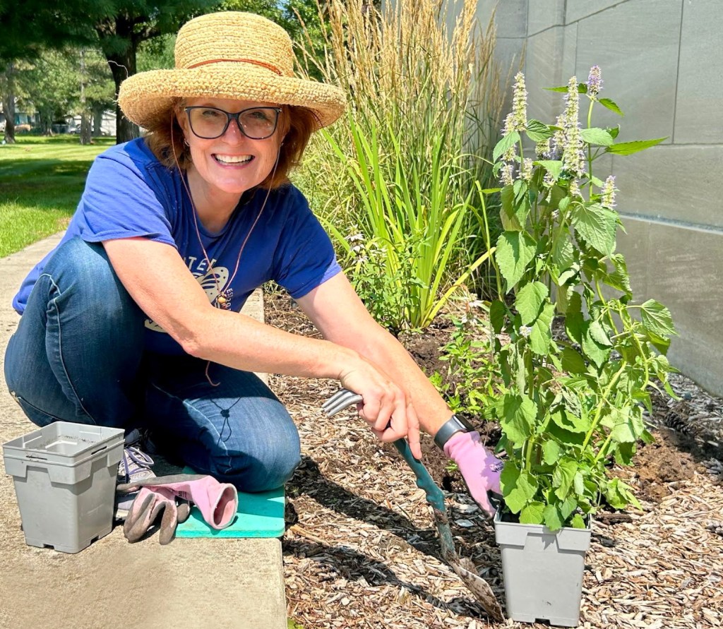 Grassroots movement helps Rochester earn butterfly recognition – The Oakland Press