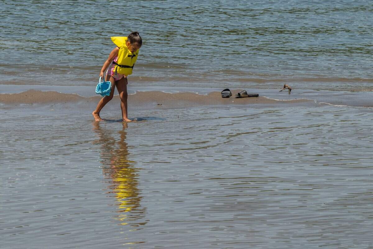 Paris Garcia, 5, of Sacramento wears a life jacket as she looks for shells in the American River at Sacramento's Tiscornia Beach on July 3. The park provides free life jackets for children.