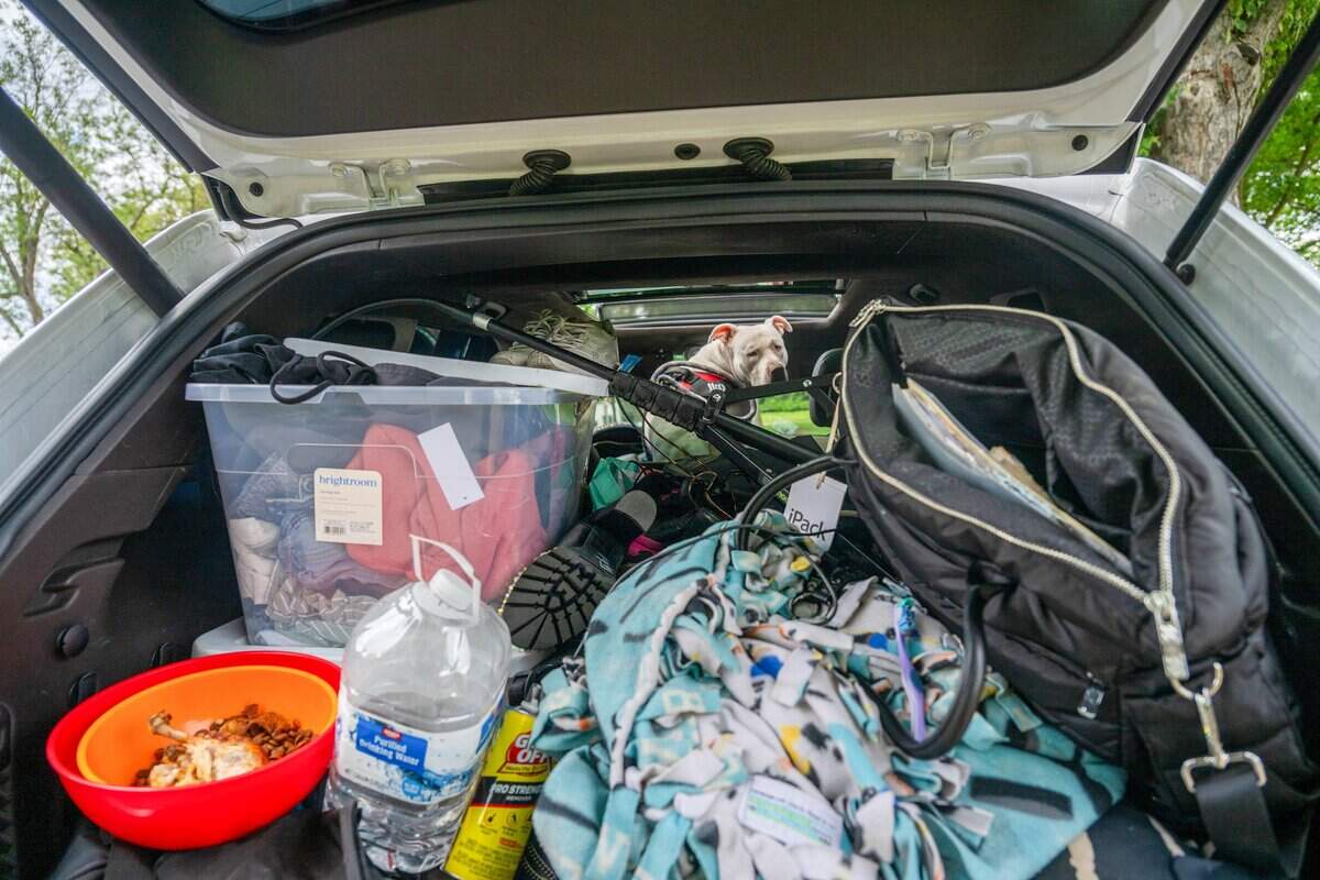 Jocelyn Wright’s deaf emotional support dog, Blue, looks back toward her belongings packed in an SUV on May 5. Wright was sleeping in the SUV as she struggled to maintain her job and find housing. “I’ve fallen through the cracks because of the system, I still have unhealed trauma that was never addressed,” said Wright.