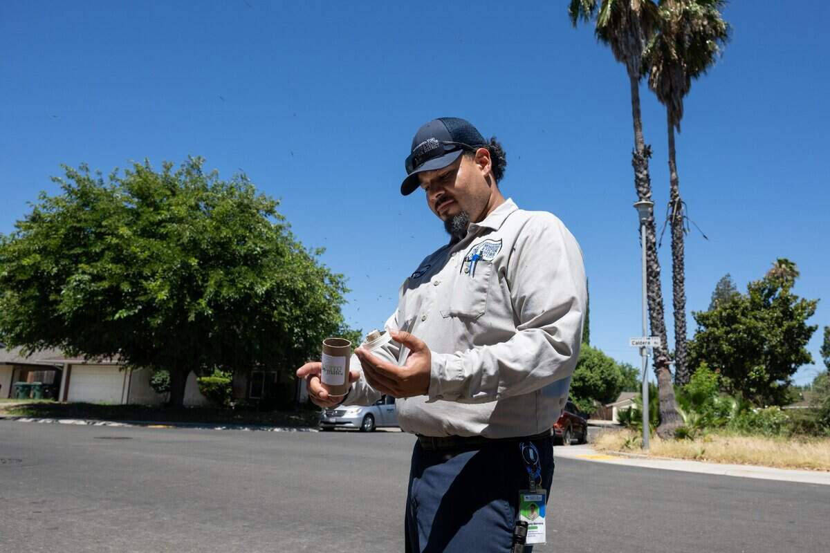 Field technician Anthony Barrera of the Sacramento-Yolo Mosquito and Vector Control District releases sterile male mosquitoes in Sacramento’s Rosemont neighborhood on Tuesday. The environmentally friendly program will release 144,000 sterile male mosquitoes to reduce the population of invasive mosquitoes that pose a public health threat.