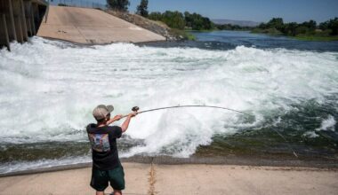 Salmon fishing returns to Sacramento River in 2026