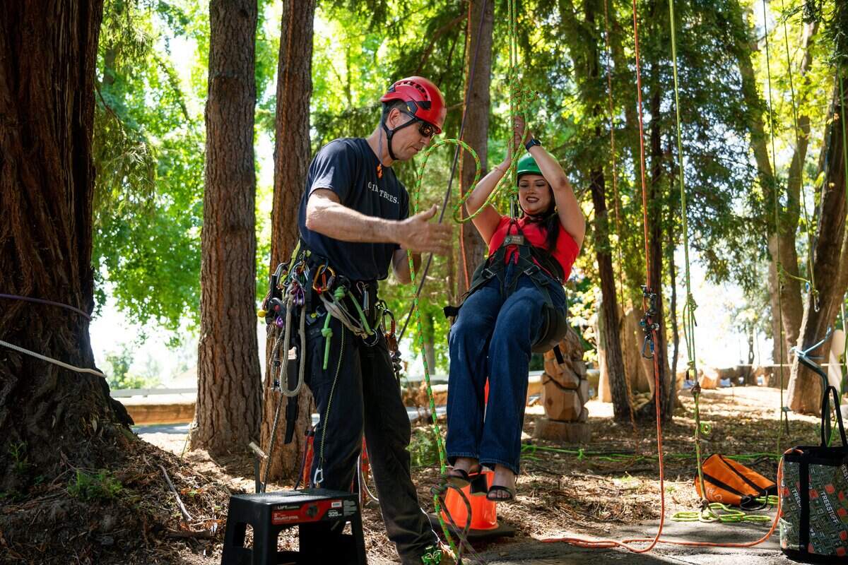 A visitor tries out the redwood climbing experience during the California State Fair media day at Cal Expo in Sacramento on Wednesday.