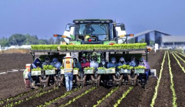 California farmworkers report effects of immigration enforcement