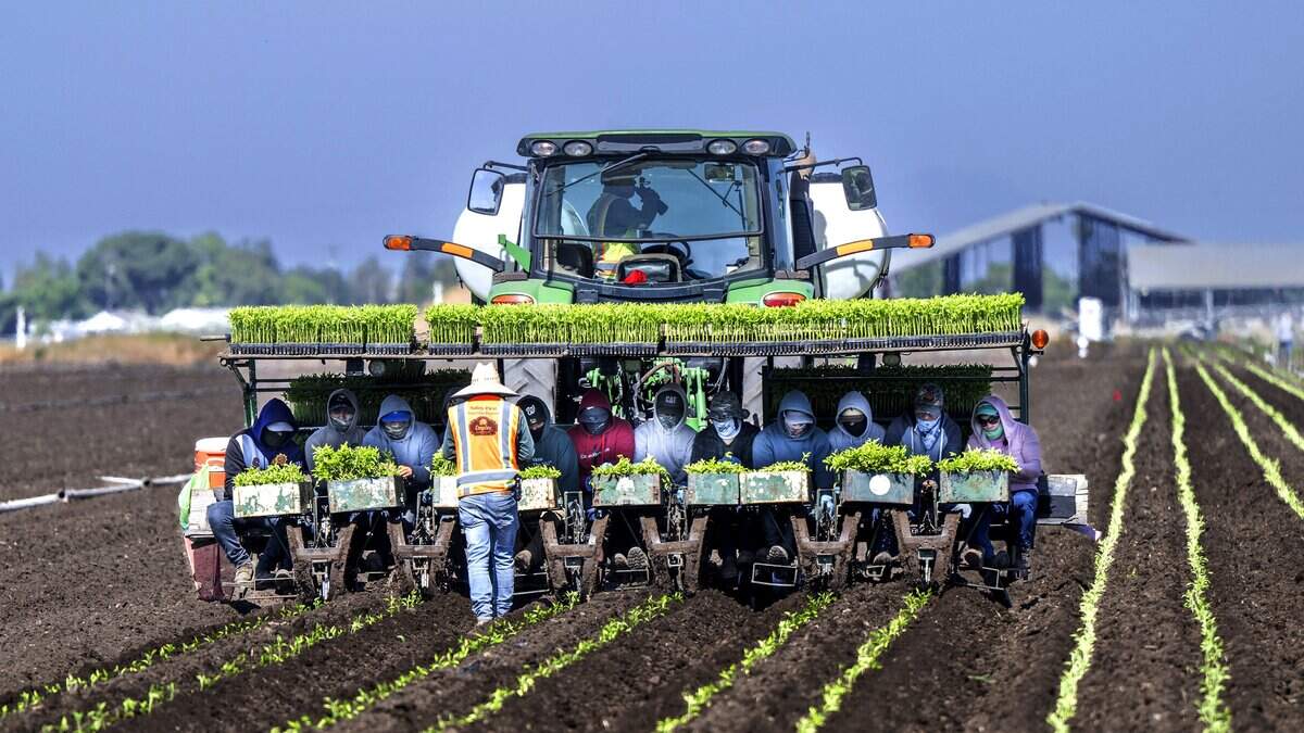 California farmworkers report effects of immigration enforcement