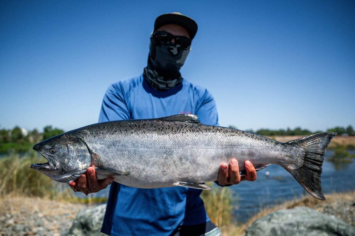 Rick Dao poses for a picture with a salmon that he caught during the opening day of the salmon fishing season at Thermalito Afterbay Outlet in Oroville Wildlife Area in Oroville on Thursday, July 16, 2026.