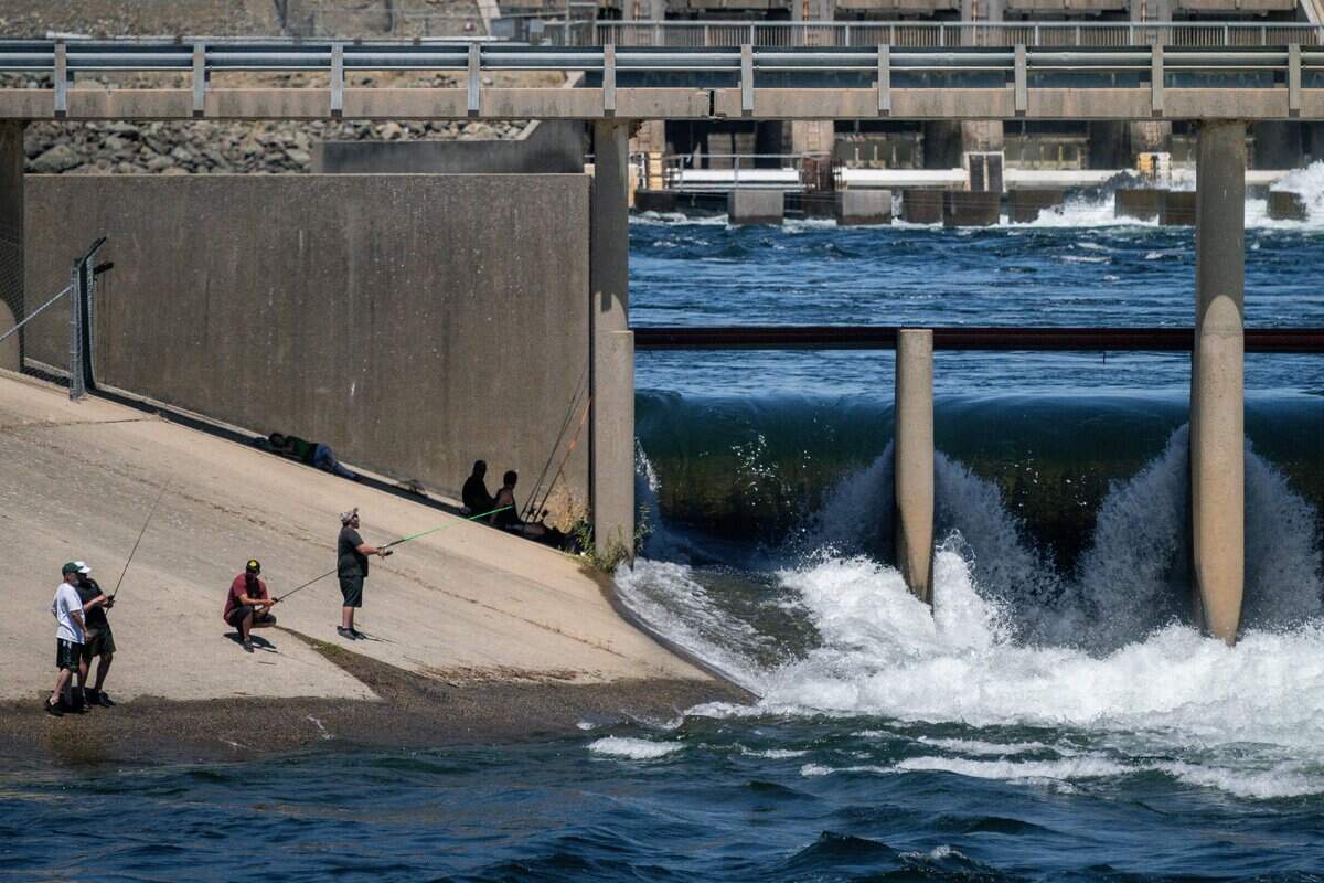 Fishermen cast their lines to catch salmon during the opening day of the salmon fishing season in Thermalito Afterbay Outlet in Oroville Wildlife Area in Oroville on Thursday, July 16, 2026.
