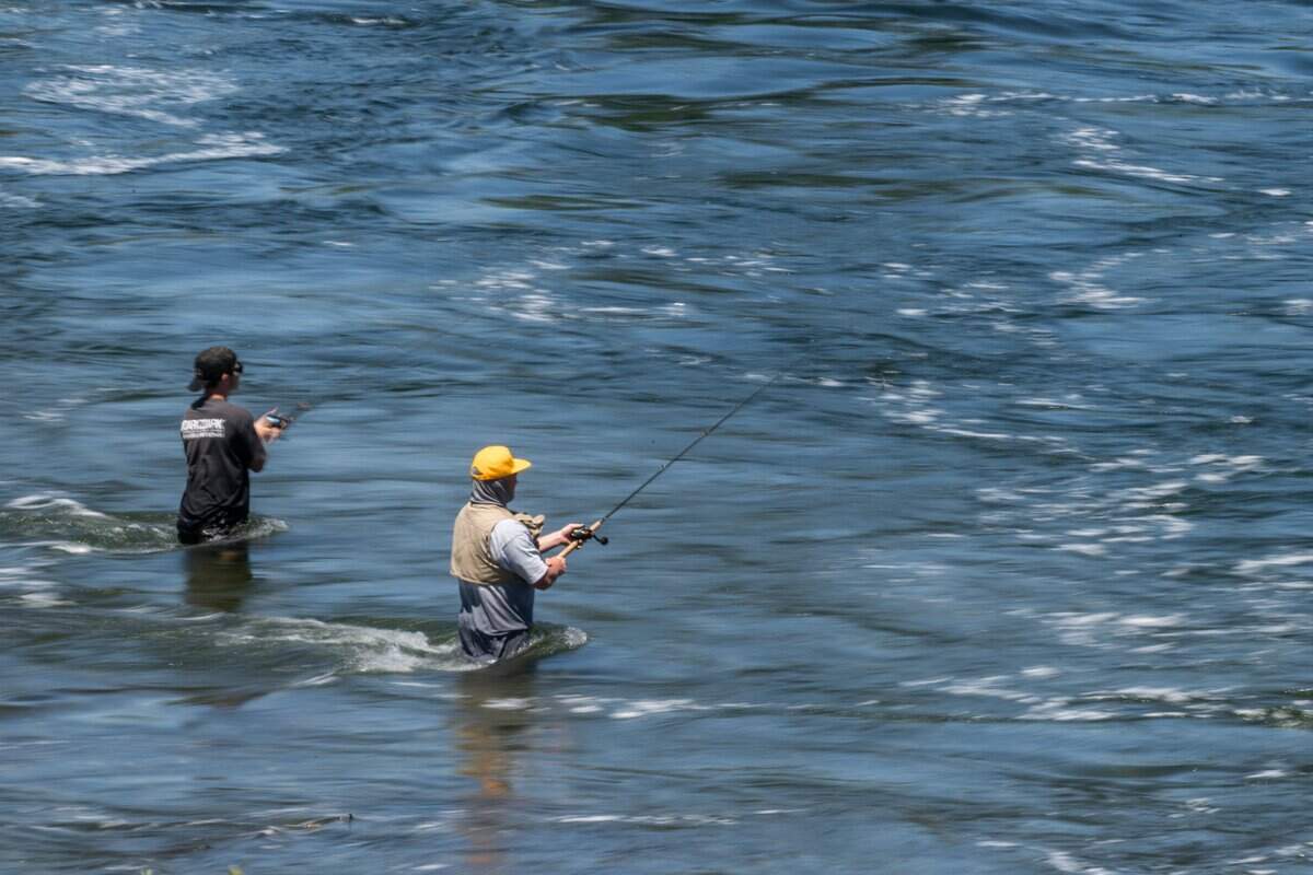 Fishermen cast their lines to catch salmon during the opening day of the salmon fishing season at Thermalito Afterbay Outlet in Oroville Wildlife Area in Oroville on Thursday, July 16, 2026.