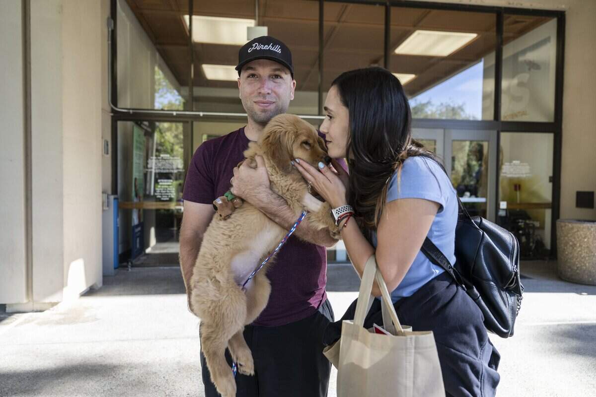 Nala, a golden retriever pup, leaves the UC Davis Veterinary Hospital with her owners Richard and Julieta Nielsen on Tuesday evening. Nala was hospitalized after eating a death cap mushroom in the backyard at her Folsom home.