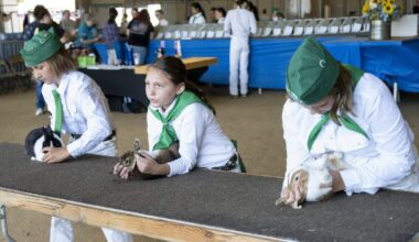 Young competitors shine at the California State Fair small animal show