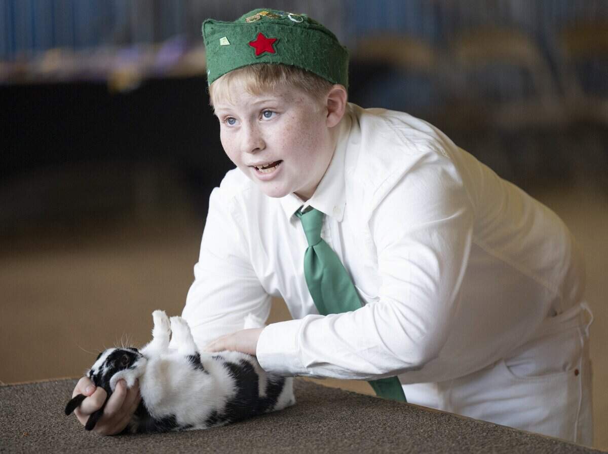 Gavin Levings-Dick, 10, competes in the showmanship competition with one of his rabbits during the California State Fair’s Junior Rabbit and Cavy Show in Sacramento on Wednesday, July 22, 2026.