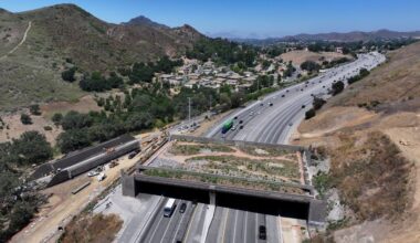 Southern California becoming a hub for wildlife crossings – Daily News