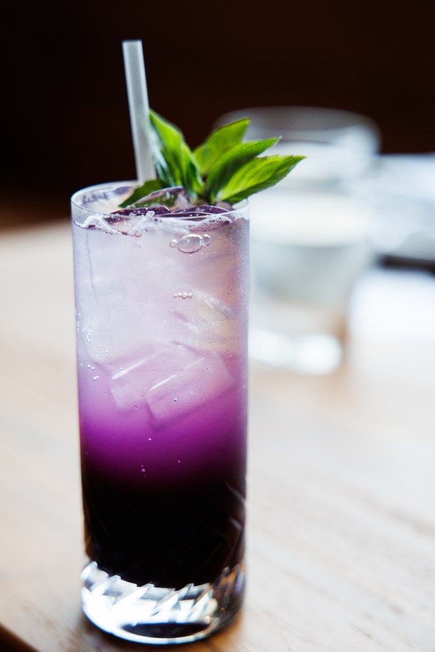 The "Tropical Break" mocktail made with blackberry, passionfruit shrub, elderflower, pineapple juice, and basil is pictured at Asia Live, a new restaurant in the Westfield Valley Fair mall in Santa Clara, Calif., on Wednesday, June 24, 2026. (Dai Sugano/Bay Area News Group)