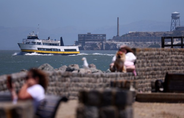 A Blue and Gold Fleet tour boat heads out to sea past Alcatraz Island in San Francisco, Calif., on Wednesday, July 15, 2026. One person died and three are missing after a boat capsized near Alcatraz Island yesterday while on the water for a memorial service. (Jane Tyska/Bay Area News Group)