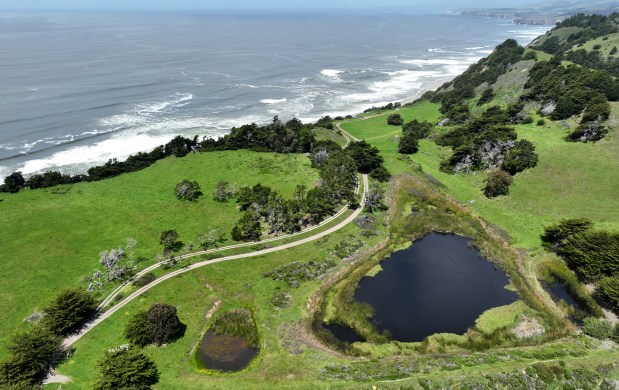 A drone view in April of 2025 of the 195-acre property that will become part of the current San Gregorio Ranch Beach. (Jane Tyska/Bay Area News Group)
