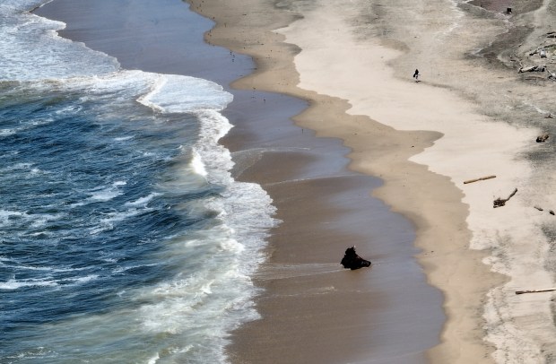 A drone view of the San Gregorio Ranch Beach in San Gregorio in April of 2025. The large tree stump marks the northern boundary of the beach that will be extended by 195-acres north. (Jane Tyska/Bay Area News Group)