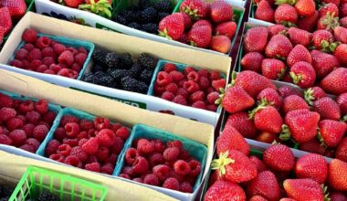 Downtown San Jose Farmers Market builds community – East Bay Times