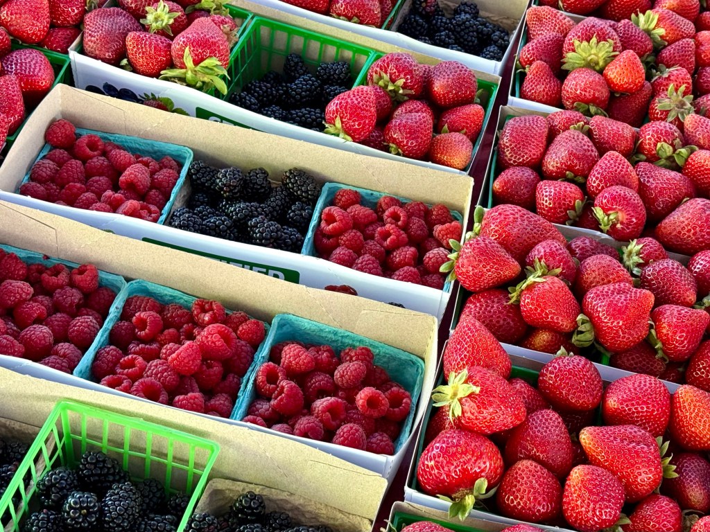 Downtown San Jose Farmers Market builds community – The Mercury News