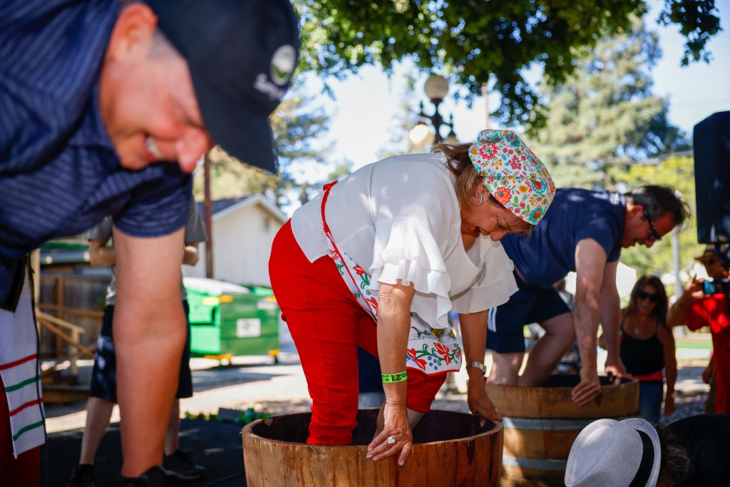 Italian Family Festa returns to History Park San Jose July 25-26 – The Mercury News