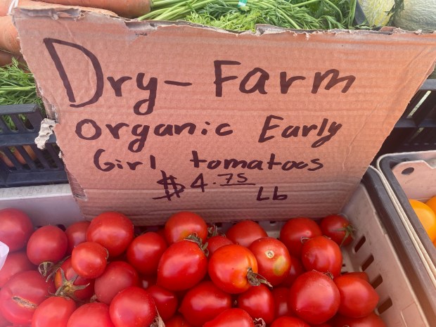 The Borba Family Farms grow organic vegetables and fruit on Central Coast acreage and sell at numerous Bay Area farmers markets, including the Sunday one in Los Gatos. (Linda Zavoral/Bay Area News Group)