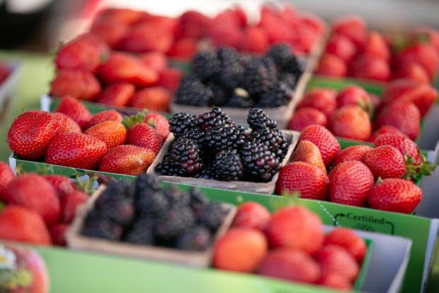 Fresh fruits tempt at the Kensington farmers market, Sunday, June 30, 2024, in Kensington, Calif. (D. Ross Cameron for the Bay Area News Group)