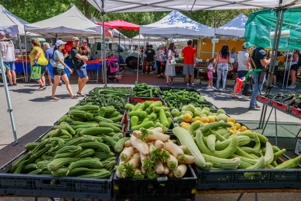 People buy produce at the farmers market as others visit the Museum of the San Ramon Valley in Danville, Calif., on Saturday, June 29, 2024. (Ray Chavez/Bay Area News Group)