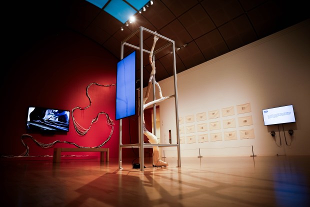 Rhonda Holberton, a Knight Arts + Tech fellow, has a piece "Collateral Influences" in the Motherboards exhibition at the San Jose Museum of Art in San Jose, Calif., on Thursday, June 25, 2026. (Shae Hammond/Bay Area News Group)