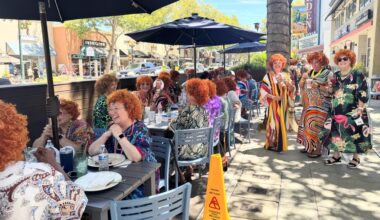 Mrs. Roper Romp brings a colorful time to Willow Glen – The Mercury News
