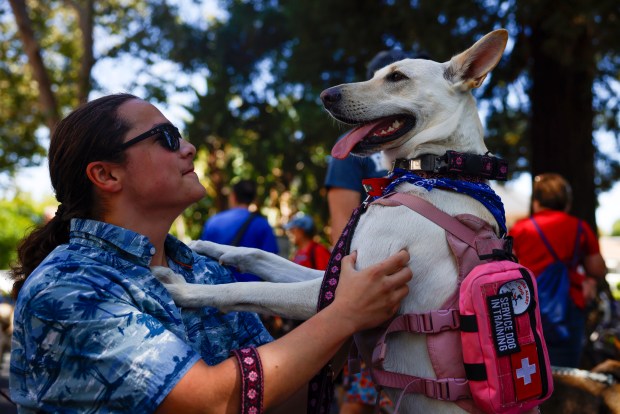 Jeremias Stauch, of Monte Sereno, hugs his dog Yuki, a German Shepard, during the RW&B Parade along The Alameda in San Jose, Calif., on Saturday, July 4, 2026. (Shae Hammond/Bay Area News Group)