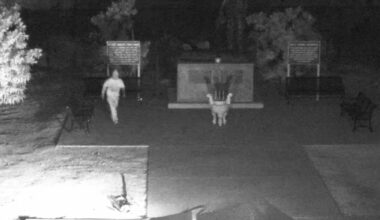 San Jose police release video of Vietnamese monument theft, ask public to identify suspects – The Mercury News