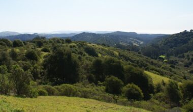 Horse trainer at Oakland's Piedmont Stables charged with 21 child sex abuse felonies