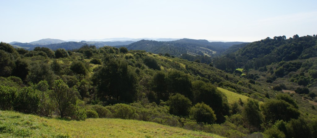 Horse trainer at Oakland's Piedmont Stables charged with 21 child sex abuse felonies