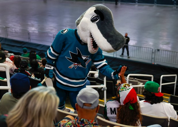 San Jose Sharks mascot S.J. Sharkie high-fives a fan during the Mexico versus England Round of 16 match in the first half for the FIFA World Cup at the Soccer Celebration presented by the San José Sports Authority at the SAP Center in San Jose, Calif., on Sunday, July 5, 2026. (Nhat V. Meyer/Bay Area News Group)