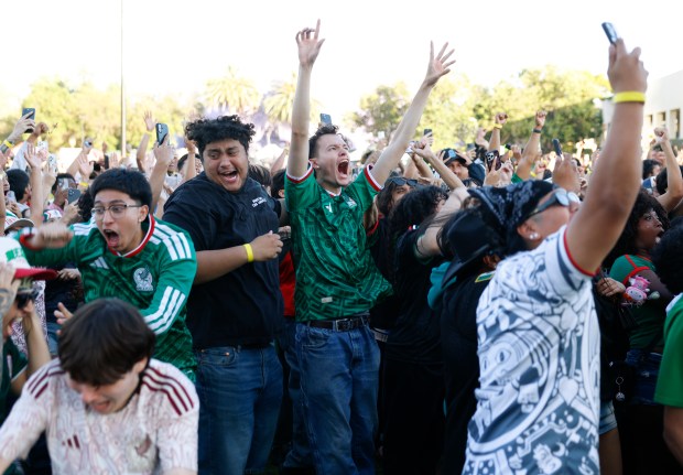 Mexico soccer fans celebrate a goal versus England Round of 16 match in the second half for the FIFA World Cup at the Soccer Celebration presented by El Camino, hosted by the San Jose Earthquakes and San José Sports Authority at the Discovery Meadow in San Jose, Calif., on Sunday, July 5, 2026. (Nhat V. Meyer/Bay Area News Group)
