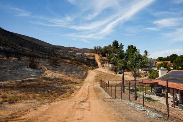 Charred earth on the left stops just before the homes on the right after the Creelman fire near Oak Springs Drive on Thursday, July 23, 2026 in Ramona, California. (Meg McLaughlin / The San Diego Union-Tribune)