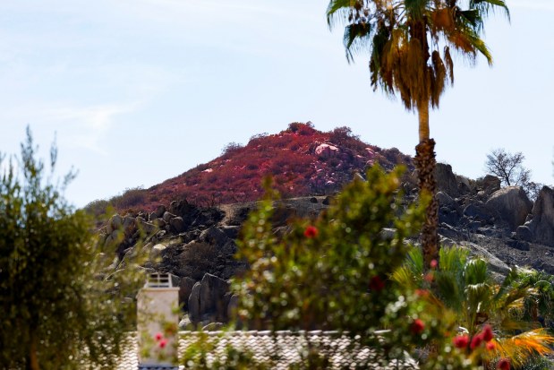 Fire retardant seen after the Creelman fire near Oak Springs Drive on Thursday, July 23, 2026 in Ramona, California. (Meg McLaughlin / The San Diego Union-Tribune)