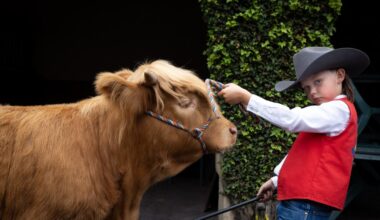 Opinion: Fair should bring back what made junior livestock show special – San Diego Union-Tribune