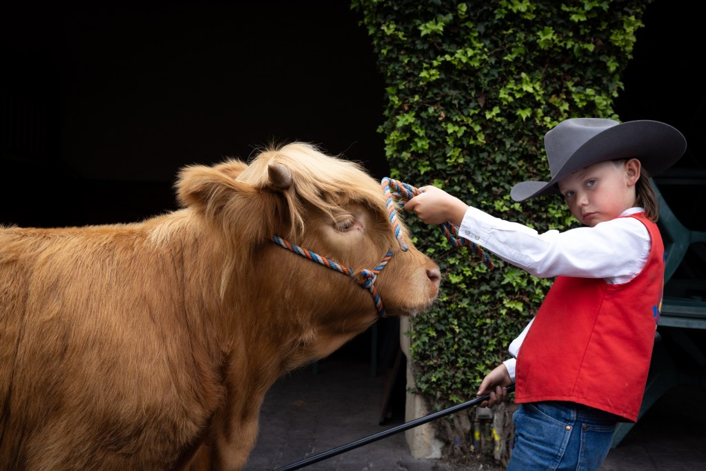 Opinion: Fair should bring back what made junior livestock show special – San Diego Union-Tribune