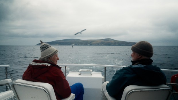 The documentary "Love Birds" explores the work of married biologists George Hunt and Molly Warner, who made an unprecedented discovery while studying seagulls on one of California's Channel Islands. The film will be screened July 15 in a special Pride Week presentation by the San Diego Natural History Museum and the San Diego Bird Alliance. (Perfect Four Productions)