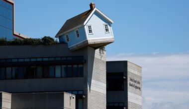 UC San Diego Police arrest man for allegedly vandalizing Fallen Star exhibit – San Diego Union-Tribune