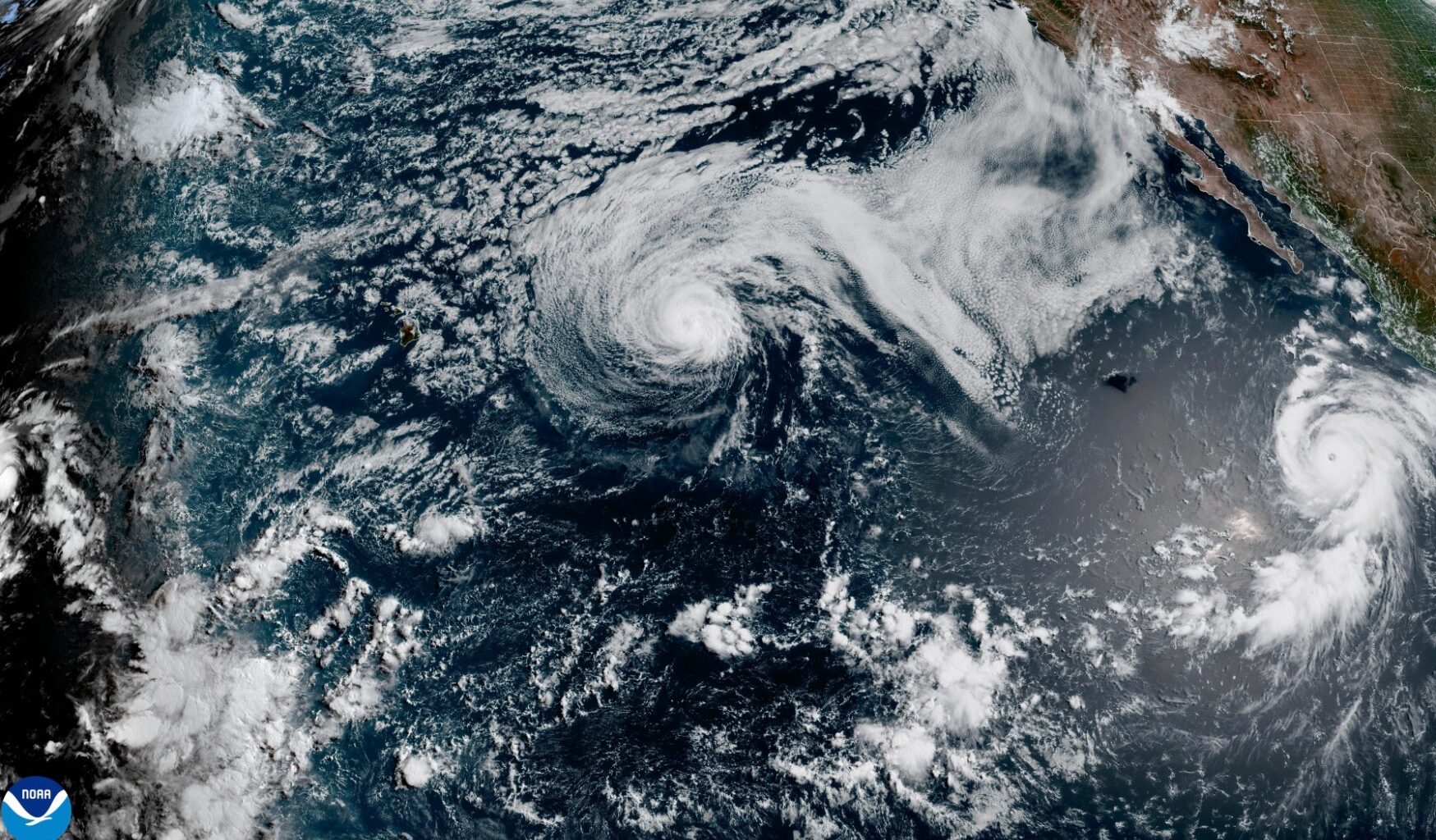 Hurricane Genevieve likely to send 8 to 11 foot waves to San Diego County beaches – San Diego Union-Tribune