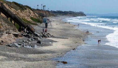 Man who drowned off coast of Carlsbad ID'd