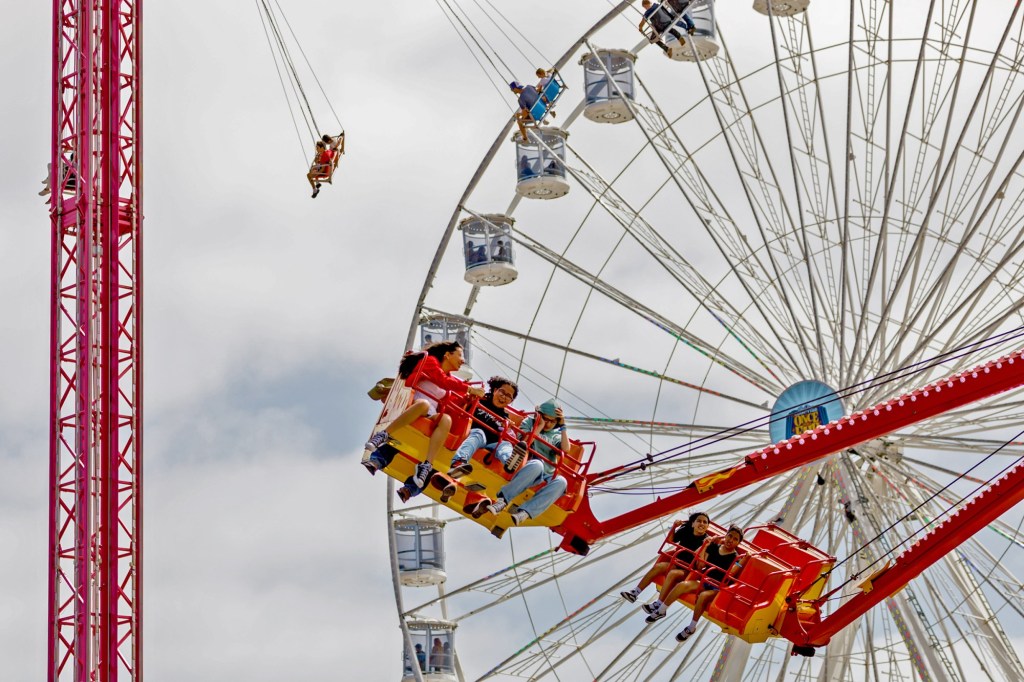 The San Diego County Fair ends Sunday — here’s what you can do and see in the final days – San Diego Union-Tribune
