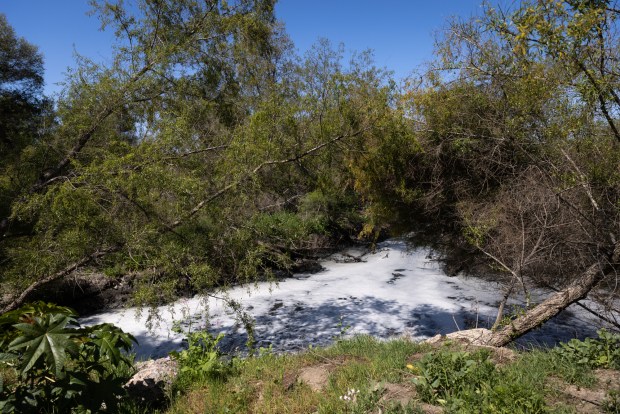 Foam buildup in the Tijuana River on Thursday, April 10, 2025 in San Diego, California. (Ana Ramirez / The San Diego Union-Tribune)
