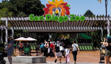 Parking in Balboa Park will be free again next year — but will the zoo follow suit? A lot hinges on its decision. – San Diego Union-Tribune