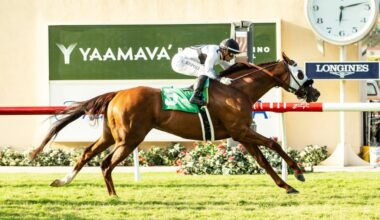 Will Nysos and Journalism run in Del Mar's Pacific Classic? Not so fast.