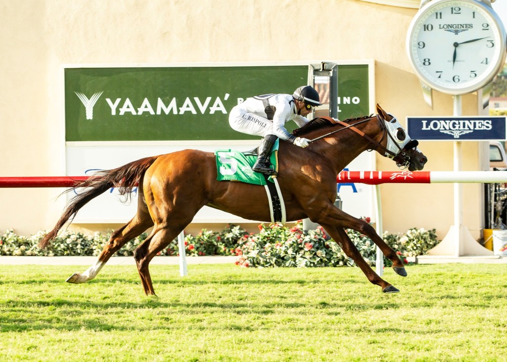 Will Nysos and Journalism run in Del Mar's Pacific Classic? Not so fast.