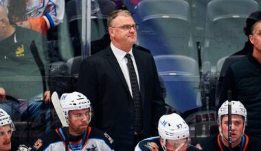 Gulls promote veteran assistant to first head coaching job