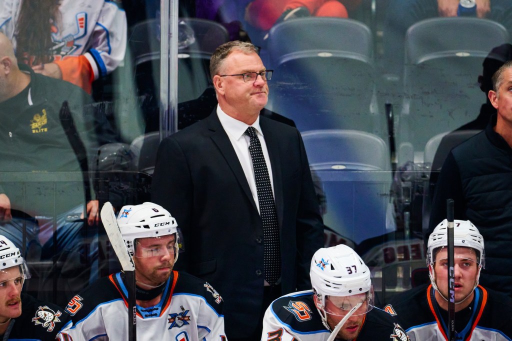 Gulls promote veteran assistant to first head coaching job