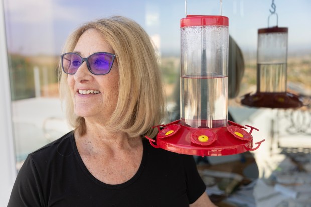 Anyone can create a home for hummingbirds, says Renee McLeod, a "Birding for Beginners" instructor for San Diego Bird Alliance. She also leads inclusive tours for EveryBody Birds San Diego. (Luke Johnson / The San Diego Union-Tribune)